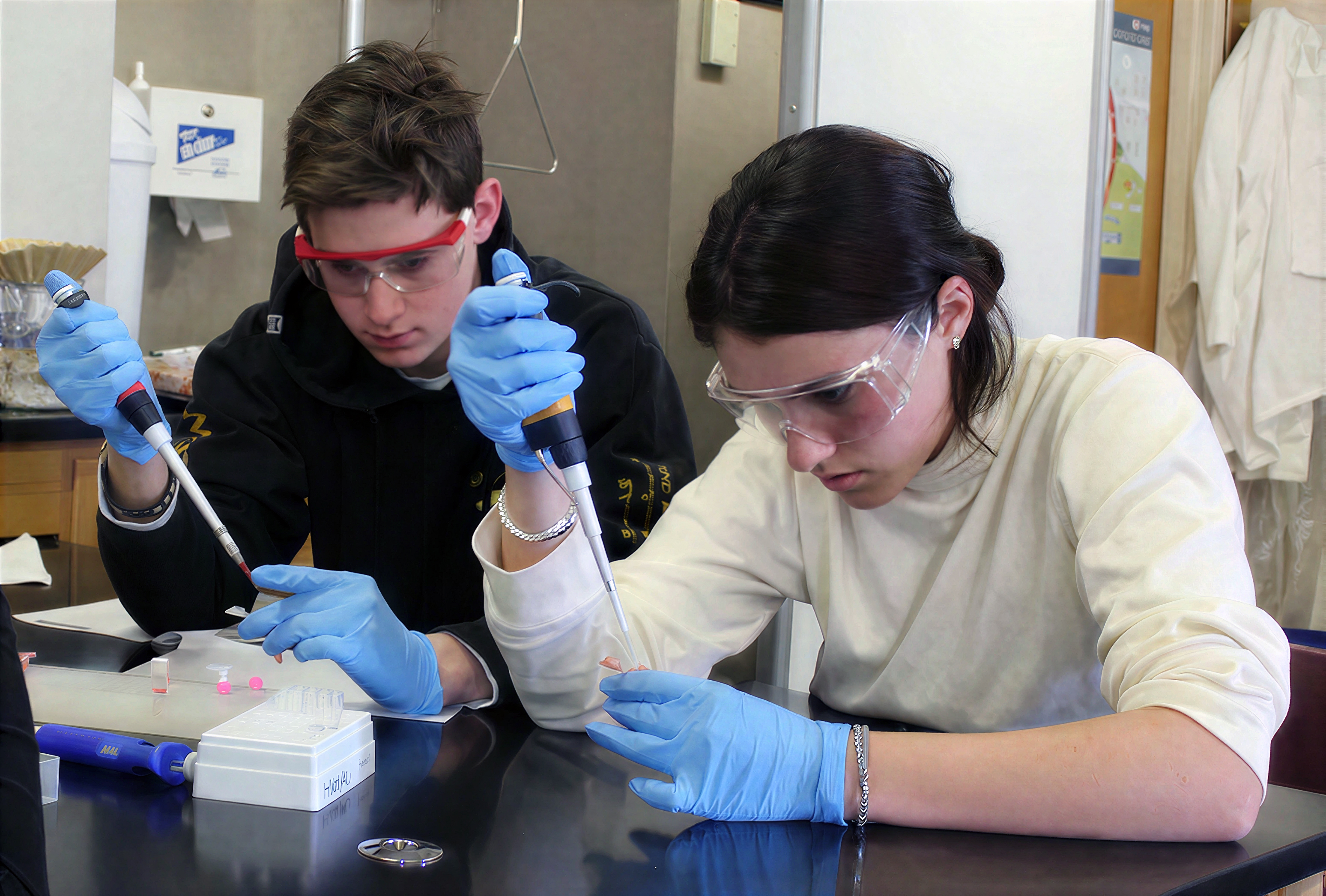 Our college acceptance rates are well above the global average, and 100% of our graduates are accepted to a four-year college or university. 